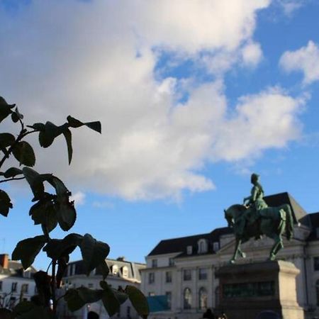 Le Scandinave, Proche Bord De Loire Orleans Exterior photo